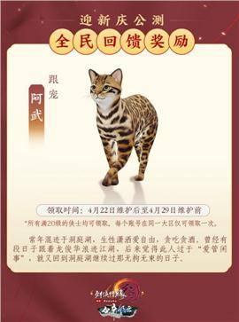 天龙八部私服格斗拳皇